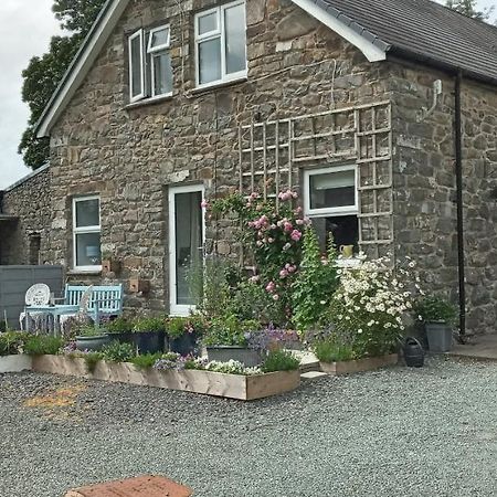 Pant Glas Barn Llanbrynmair Bagian luar foto