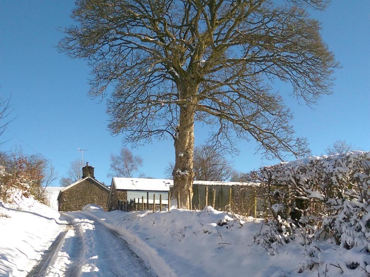 Pant Glas Barn Llanbrynmair Bagian luar foto