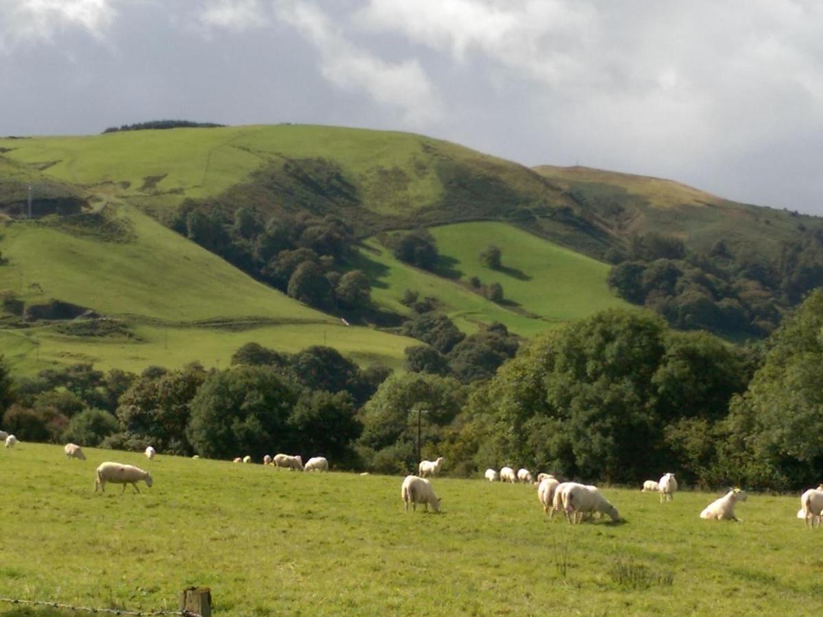 Pant Glas Barn Llanbrynmair Bagian luar foto