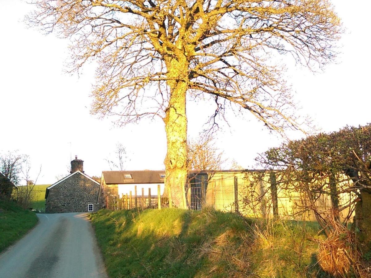 Pant Glas Barn Llanbrynmair Bagian luar foto